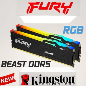 RAM 킹스턴 퓨리 비스트 메모리 DDR5 4800MHz 5200MHz 5600MHz 6000MHz RGB 8GB 16GB 32GB XMP3.0 Z690 B660, [23] 5600 16GB XMP EXPO, 23.5600 16GB XMP EXPO