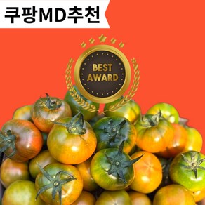 짭짤이 토마토 대저 못난이 토마토 산지직송 2.5kg 5kg, 1박스, 대저 토마토 2.5kg (L) 8과 내외