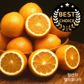 [럭셔리당도] 12Bix이상 고당도선별 프리미엄 블랙라벨오렌지, 10개, 1.9kg(중과)