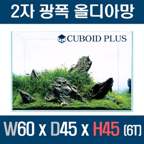 큐보이드 디아망노멀 2자광폭 올디아망어항 604545 (6T), 1개