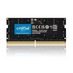 마이크론 Cucial 노트북 DDR5-5600 CL46 (16GB), 1개