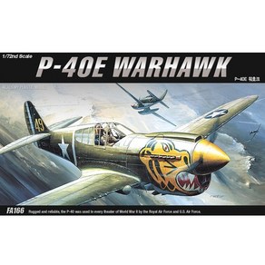 1:72 P-40E 워호크 (12468)