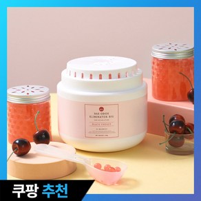 BAS 특대형 실내 탈 취제 빅 (3가지향)_소분용기 포함