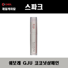 쉐보레 스파크 GJU 코코넛샴페인 붓펜 자동차 도색 차량용 카페인트, 코코넛 샴페인, 1개