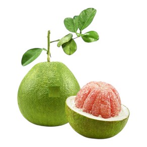 PINK POMELO 베트남 자몽 | 핑크 포멜로 | 베트남 그린 자몽 (1과 1.2~1.6kg)