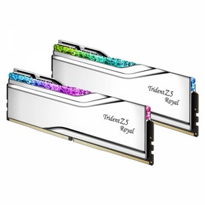 지스킬 DDR5-7200 CL34 TRIDENT Z5 ROYAL 실버 32GB, 1개