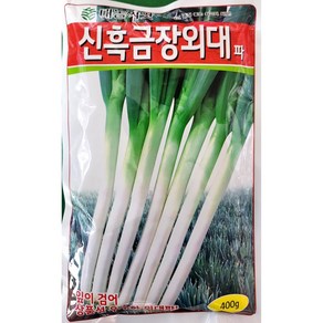 신흑금장외대파 400g/ 대파씨앗큰포장, 1개