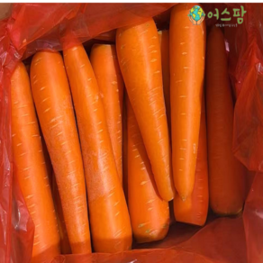 당근 주스용 라페 수입 당근 대용량 신선 세척 당근[품질보장], 1박스, 10kg