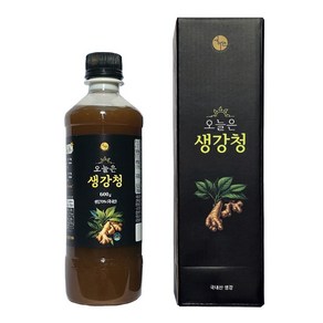 오늘은 생강청 생강차 생강진액, 1개, 1개입, 600g