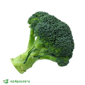 야채이야기 신선한 브로콜리 1개, 250g