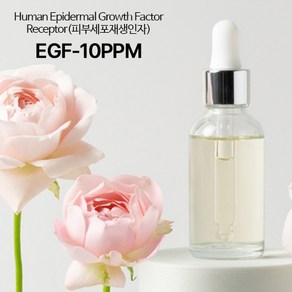 (고함량-10PPM)EGF(이지에프), 1개, 10ml