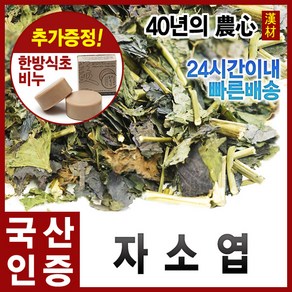 자애인 국산 자소엽 600g 자소엽차 차조기잎 건조 경북의성, 단품, 1개