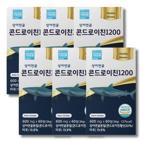 [6박스 파격할인] 건강안식처 상어연골 저분자 콘드로이친 1200 60정 소연골 연어코연골 구절초 우슬 추출 분말 함유, 상어연골 콘드로이친 6개 (6개월분)