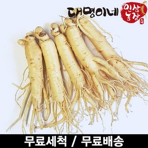 인삼수삼 오쿠1회분 원삼소 세척 5뿌리내외 250g