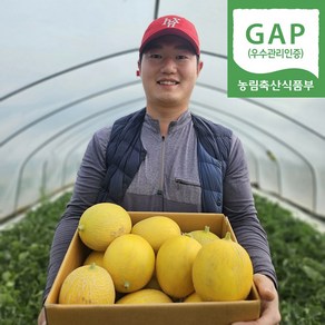 [하늘밭] 산지직송 초고당도 성산 하미과메론, 1박스, 프리미엄 골드하미과 5kg(3~6과)