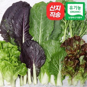 [자연마을] 친환경인증 유기농 당일수확 모듬 쌈 야채 샐러드 상추 모듬쌈 600g 1kg