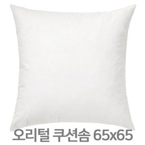 이케아 오리털 쿠션솜 65x65 쿠션패드 오리털쿠션솜 쿠션커버 FJADRAR 피에드라르