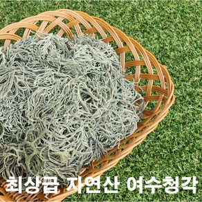 여수청각 자연산 돌청각 햇청각 건청각 500g, 1개