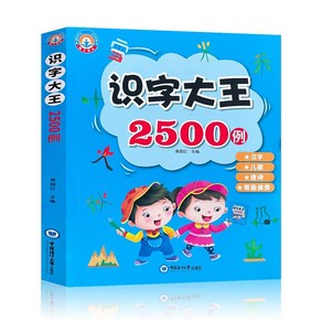 2500 Wods 유아 중국어 서적 어린이 캐릭터 카드 학습 Pinyin 컬러 북