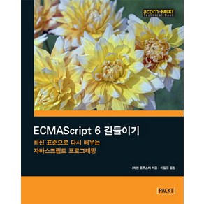 ECMAScript 6 길들이기:최신 표준으로 다시 배우는 자바스크립트 프로그래밍