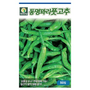 앉은뱅이 방울토마토 50립 - 씨 씨앗 방울토마토씨 방울토마토씨앗 채소씨 채소씨앗, 1개