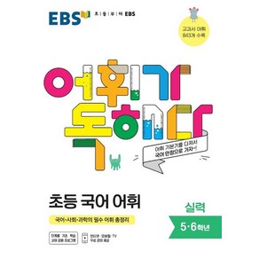 EBS 어휘가 독해다! 초등 국어, 실력