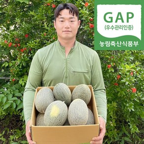 [하늘밭] 산지직송 초고당도 성산 하미과메론, 1박스, 프리미엄 그린하미과 5kg(3~6과)