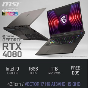 MSI 벡터 17 HX A13VHG-i9 QHD [본품], 그레이, 1TB, 16GB, Fee DOS