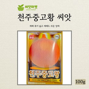 아시아종묘 천주중고황 양파 중만생종 씨앗 100g, 1개