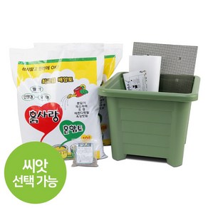 화분월드 베란다텃밭 토마토 키우기 분갈이흙 정사각 화분 11호 텃밭세트 8종, 정사각11호 텃밭세트