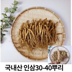 인삼 수삼 실속형 5년근 햇수삼30-40 뿌리 삼계탕 믹서용 원수삼 (빠른무료배송), 1개