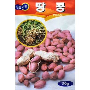 땅콩씨앗30g 진흥종묘 병에 강하고 수량성 우수하여 재배하기 쉬운 품종입니다