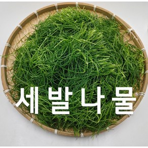 세발 세발나물 4kg내외 야채맘, 1개, 4kg