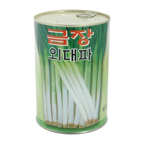 경신종묘 대파씨앗 금장외대파 400g, 1개