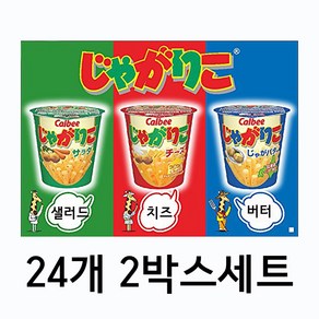 가루비 자가리코 24개 2박스 세트 쟈가리코 자가비 쟈가비 2가지 맛 일본과자, 버터맛 12개, 샐러드맛 12개, 2개