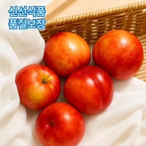 [아삭함 끝판왕]껍질째 먹는 딱복 천도복숭아, 1박스, 1kg(18과 내외)