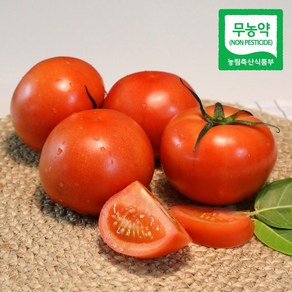 (산지직송) 친환경 봄춘 무농약 완숙 토마토, 2.5kg, 1개