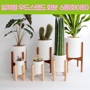 [인아트스튜디오] 반값 일체형 우드 스탠드 화분 6종 (무광 화이트) - 인테리어 도자기 반려식물 공기정화 관엽식물 모던 원통, 화이트 일체형 8cm