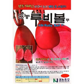 루비볼무씨앗 300립 권농종묘 22년