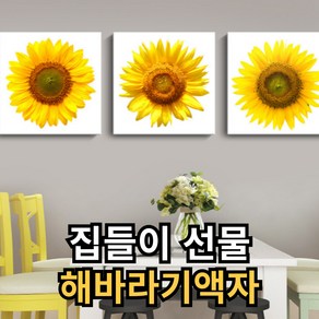 행운앤 해바라기 그림 액자 집들이 금전운 인테리어 캔버스 풍수 부자되는그림, D