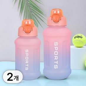 투데이리빙 2개 세트 그라데이션 대용량 텀블러 800ml + 1300ml 쉐이커볼 포함 휴대용 원터치 쉐이크통 운동 헬스 아이스 쥬스 워터 물통 물병, 1세트, 2100ml, R98514C(핑크+퍼플