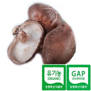 한그루 표고마을 유기농 생표고버섯(꼬마/파지) 1kg당 5500원