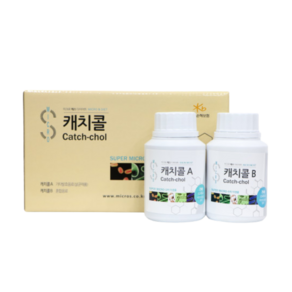 중앙미생물연구소 캐치콜 노폐물 제거 담석제거 몸속찌꺼기 제거 디톡스 해독 다이어트 A200ml x 4ea / B200ml x 2ea, 1개, 1200ml