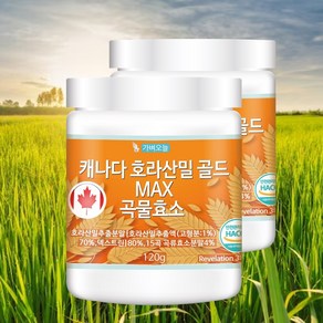 가벼오늘 캐나다 호라산밀 골드 효소, 120g, 2개