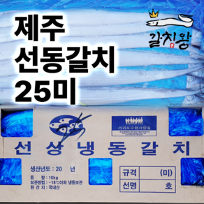 제주 선동갈치 1상자 10kg 25마리 산지직송 제주갈치