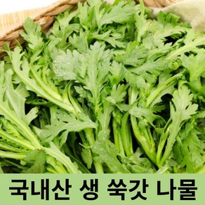 [ 국내산 ] 생 쑥갓 400g 1kg 쑥갓나물 향이 좋은 제철채소 나물 재철 채소 제철 쑥 갓 싱싱 야채 채소, 1개