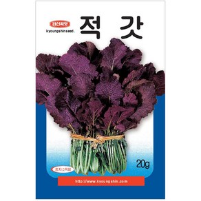 품질이 우수한 적갓 씨앗 20g - 육질이 부드럽고 품질이 우수한 품종 적갓 갓 주말농장 씨, 1개