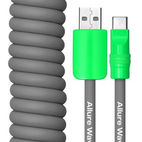 얼루어웨이브 실리콘 스프링 초고속 충전 케이블 USB to C, 1개, 그레이, 60cm