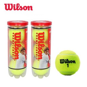 윌슨 Tennis Ball 공 챔피언쉽 하드코어 6구 1세트 WRT100101, 2개