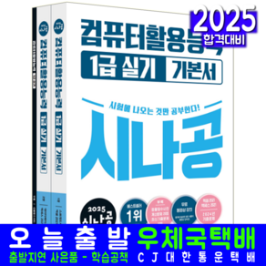 시나공 컴활 1급 실기 교재 책 컴퓨터활용능력 기본서 2025, 길벗